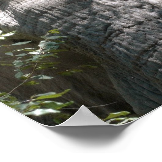 Elefantengesicht Poster (Ecke)