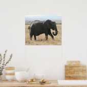Elefantengrau Poster (Küche)