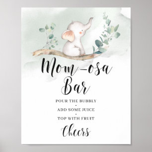 Elefantengrün - Eukalyptus momosa-Bar Poster