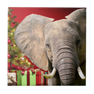 Elefantengrüße zu Weihnachten Fliese
