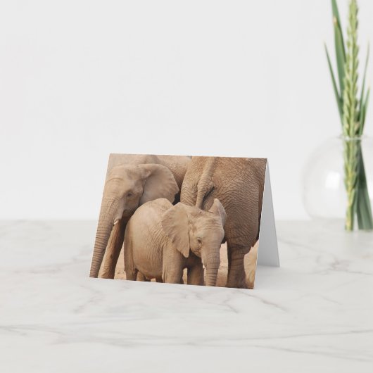 Elefantengrüßkarte - Leere Karte (Vorderseite)