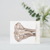 Elefantengrußkarte Postkarte (Stehend Vorderseite)