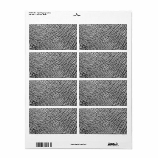 Elefantenhaut (Vorne)