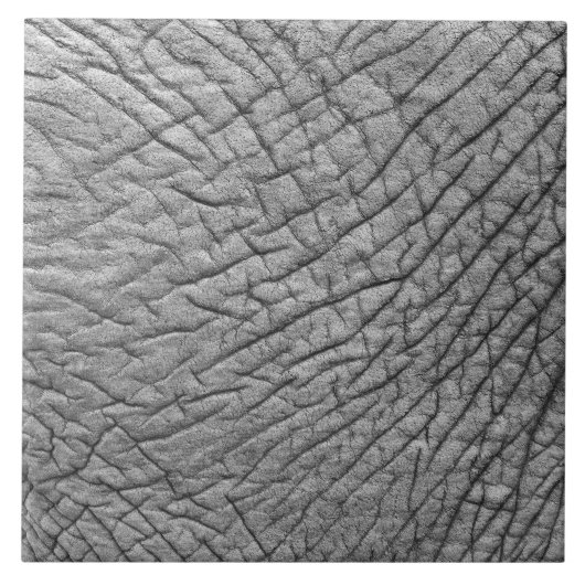 Elefantenhaut Fliese (Vorderseite)