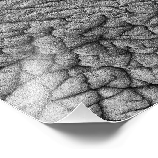 Elefantenhaut Fotodruck (Ecke)