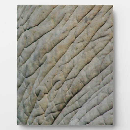 Elefantenhaut Personalisiert mit Ihrem Namen Fotoplatte (Vorderseite)