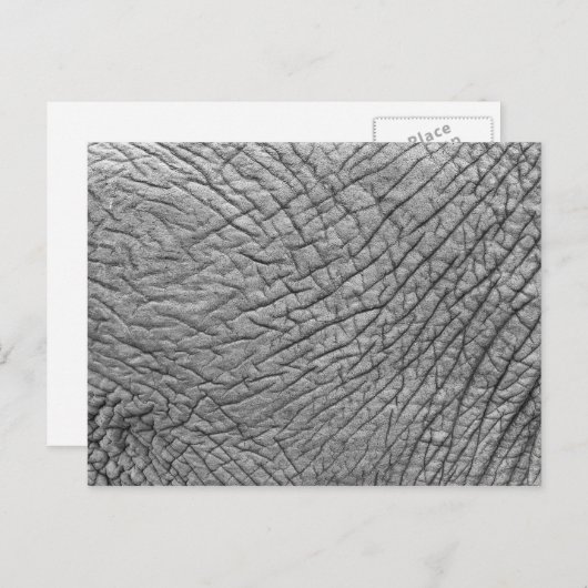 Elefantenhaut Postkarte (Vorne/Hinten)