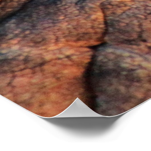 Elefantenhautelephant Poster (Ecke)