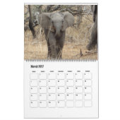 Elefantenkalender Kalender (Mär 2027)