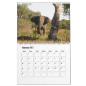 Elefantenkalender Kalender (Feb 2027)