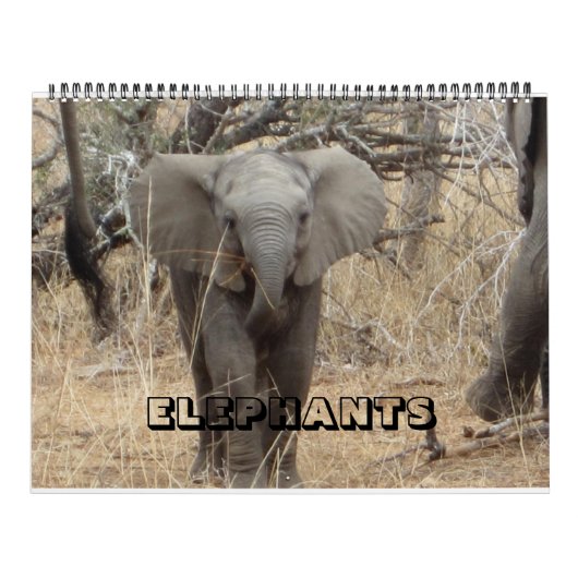 Elefantenkalender Kalender (Titelbild)