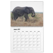 Elefantenkalender Kalender (Jan 2027)