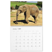 Elefantenkalender Kalender (Jan 2027)