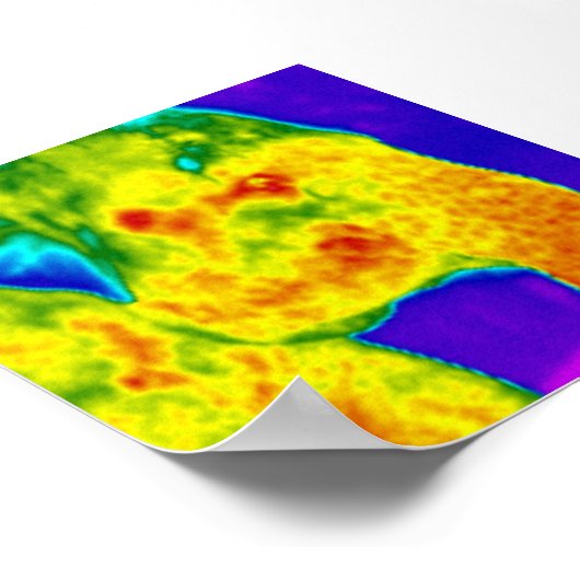 Elefantenkopf Poster (Ecke)