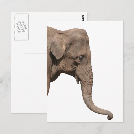 Elefantenkopf Postkarte (Vorne/Hinten)