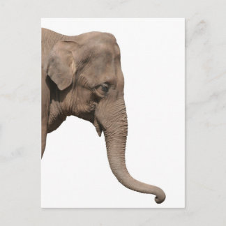 Elefantenkopf Postkarte