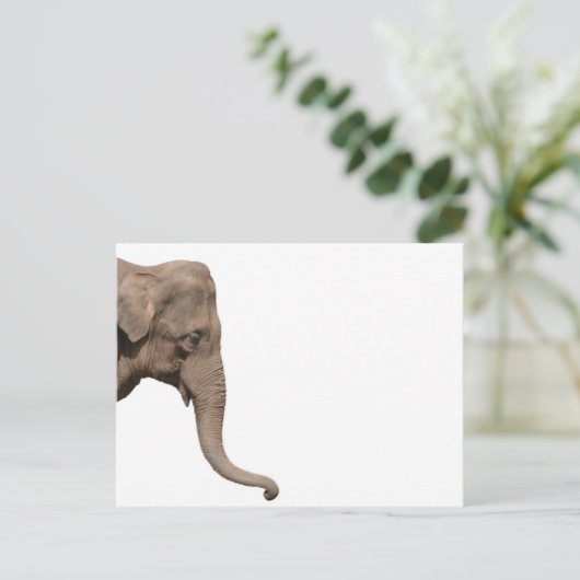 Elefantenkopf Postkarte (Stehend Vorderseite)