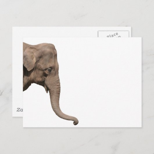 Elefantenkopf Postkarte (Vorne/Hinten)