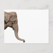 Elefantenkopf Postkarte (Vorderseite)