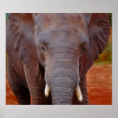 Elefantenladung Poster (Vorne)