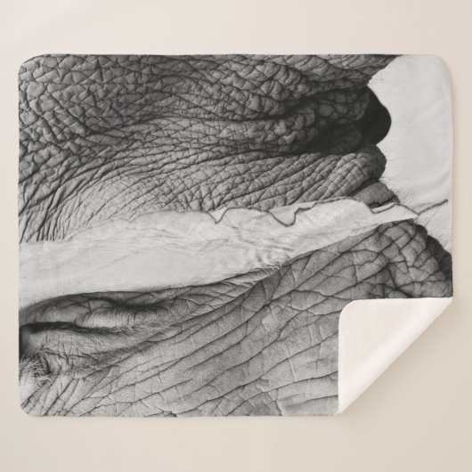 Elefantenleder Sherpadecke (Vorderseite (Horizontal))