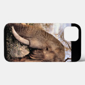 Elefantenliebhaber Case-Mate iPhone Hülle (Rückseite (Horizontal))