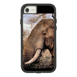Elefantenliebhaber Case-Mate iPhone Hülle