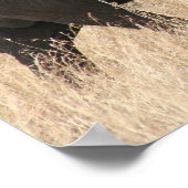 Elefantenmasai Poster (Ecke)