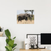 Elefantenmasai Poster (Heimbüro)