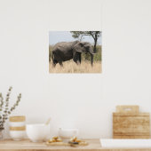 Elefantenmasai Poster (Küche)