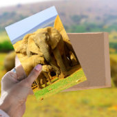 Elefantenmutter und Kalb Postkarte