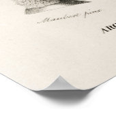 Elefantenohr (Caladium bicolor) Poster (Ecke)