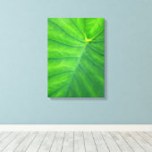 Elefantenohren - Kolokasien Leinwanddruck (Insitu (Holzboden))