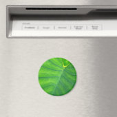 Elefantenohren - Kolokasien Magnet (In Situ (Geschirrspüler))