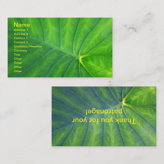 Elefantenohren - Kolokasien Visitenkarte (Vorne/Hinten)