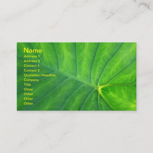 Elefantenohren - Kolokasien Visitenkarte (Vorderseite)