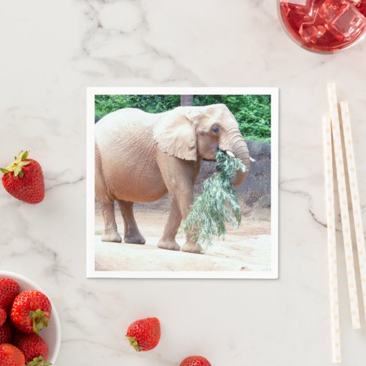 Elefantenpapierservietten Serviette (Beispiel)