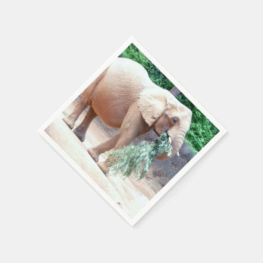 Elefantenpapierservietten Serviette (Ecke)