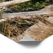 Elefantenparade Poster (Ecke)