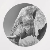 Elefantenportrait Etiketten (Design 1)