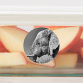 Elefantenportrait Etiketten (Befestigt)