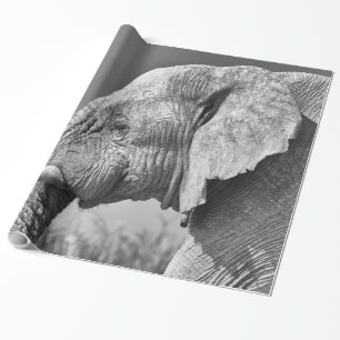 Elefantenportrait Geschenkpapier