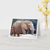 Elefantenportrait Karte (Gelbe Blume)