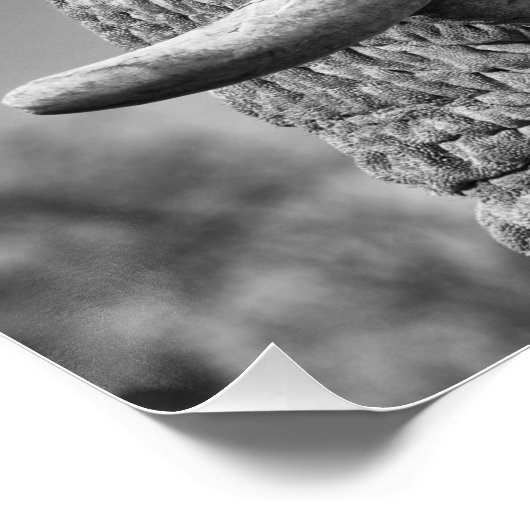 Elefantenportrait Poster (Ecke)