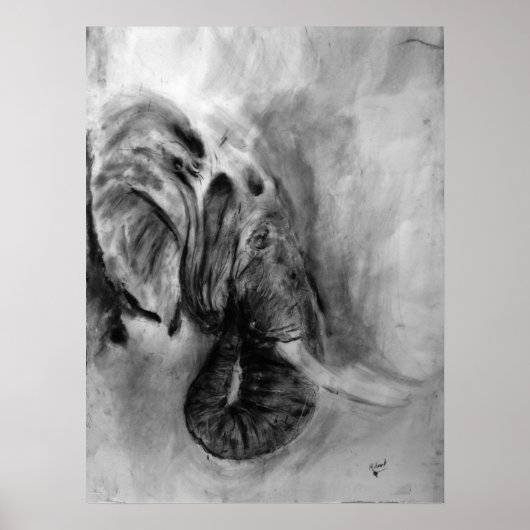 Elefantenposter 18x24 poster (Vorne)