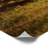 Elefantenposter Poster (Ecke)