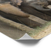 Elefantenposter Poster (Ecke)