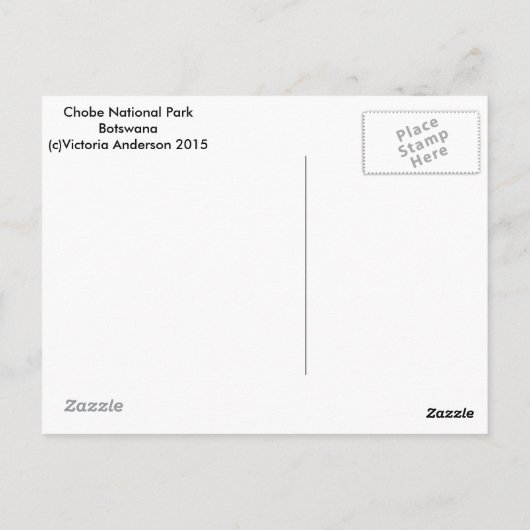 Elefantenpostkarten Postkarte (Rückseite)