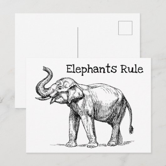 Elefantenregel Postkarte (Vorne/Hinten)