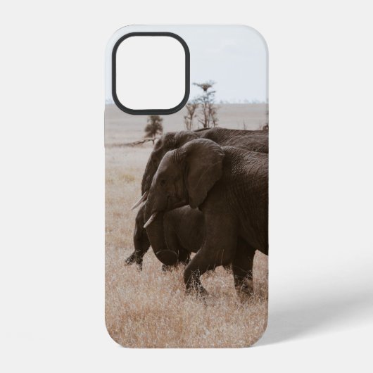 ELEFANTENRENnen iPhone Hülle (Rückseite)